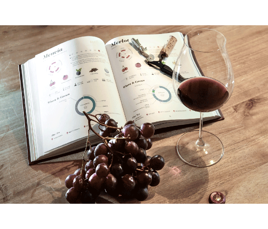 Di 10.2.2026  „All about wine"