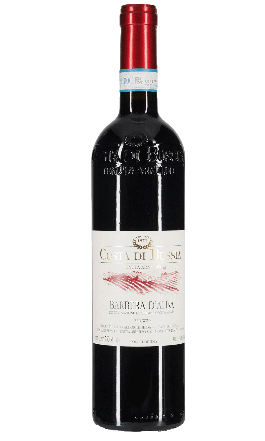 Costa di Bussia Barbera d'Alba