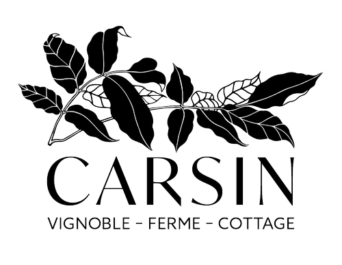 Château Carsin
SARL